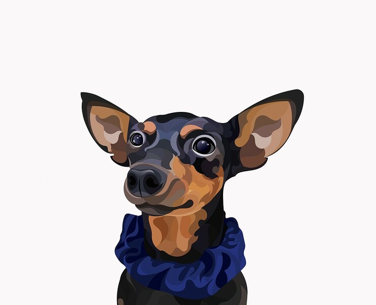 Векторная иллюстрация | Vector pet illustrations