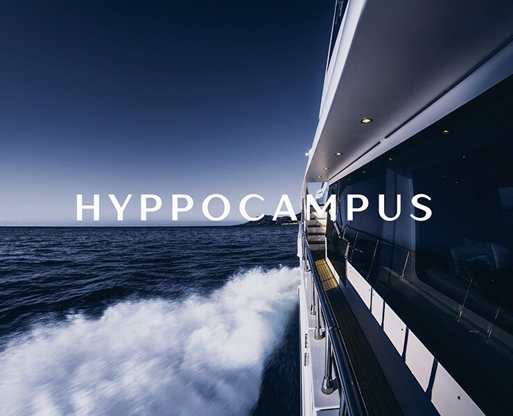 Hippocampus yacht company на Dprofile