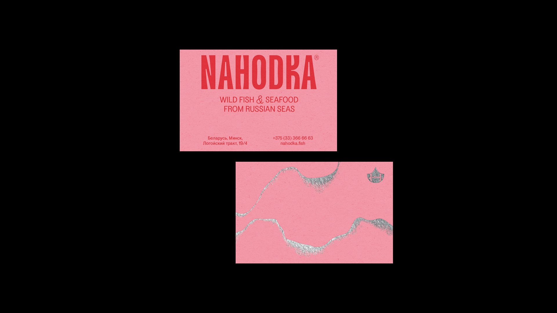 Изображение проекта