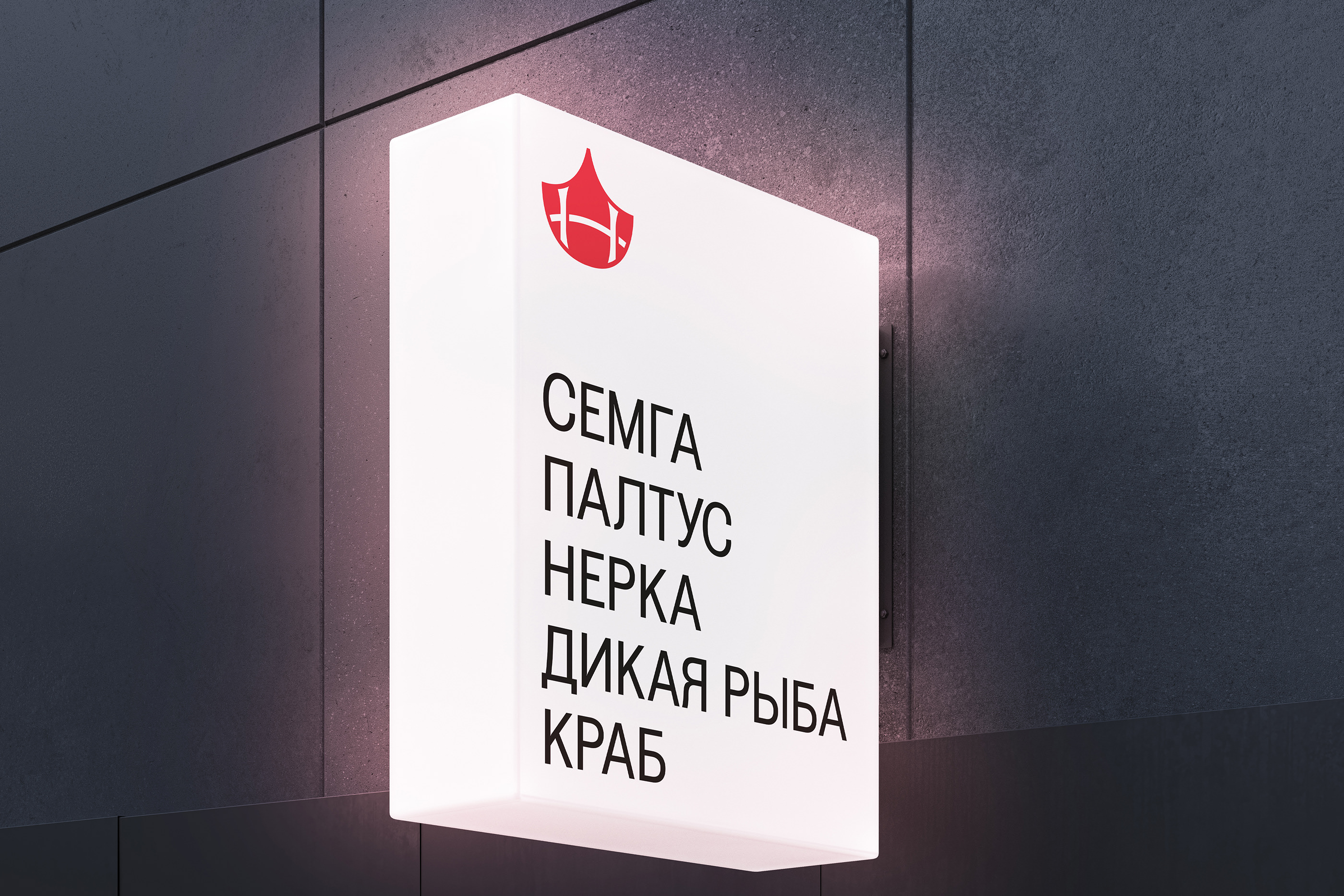Изображение проекта