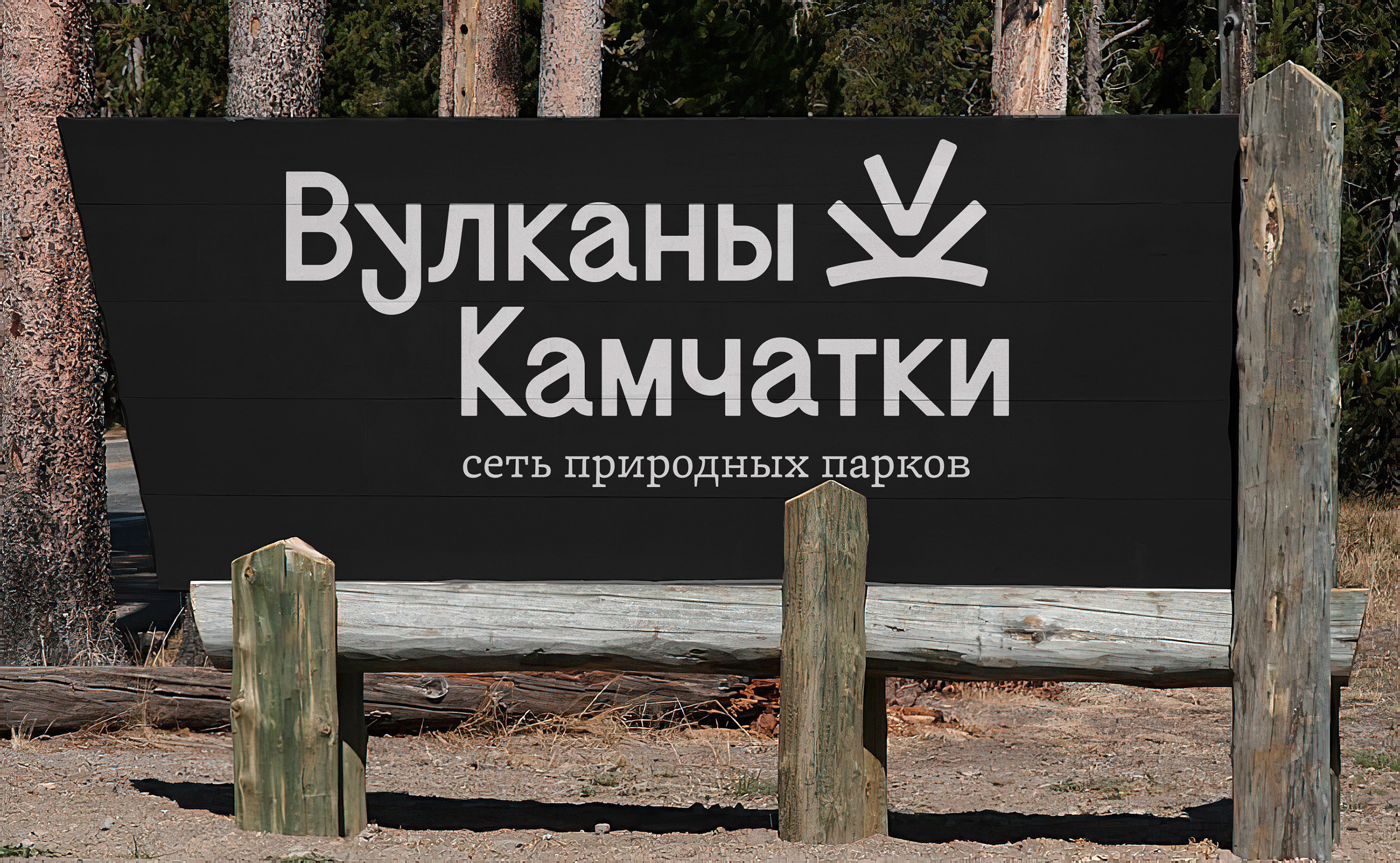 Изображение проекта