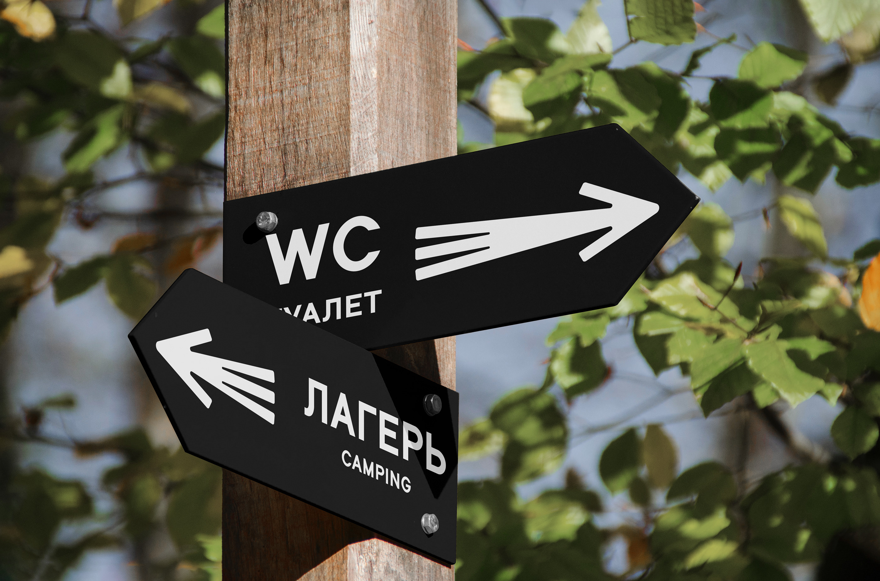 Изображение проекта