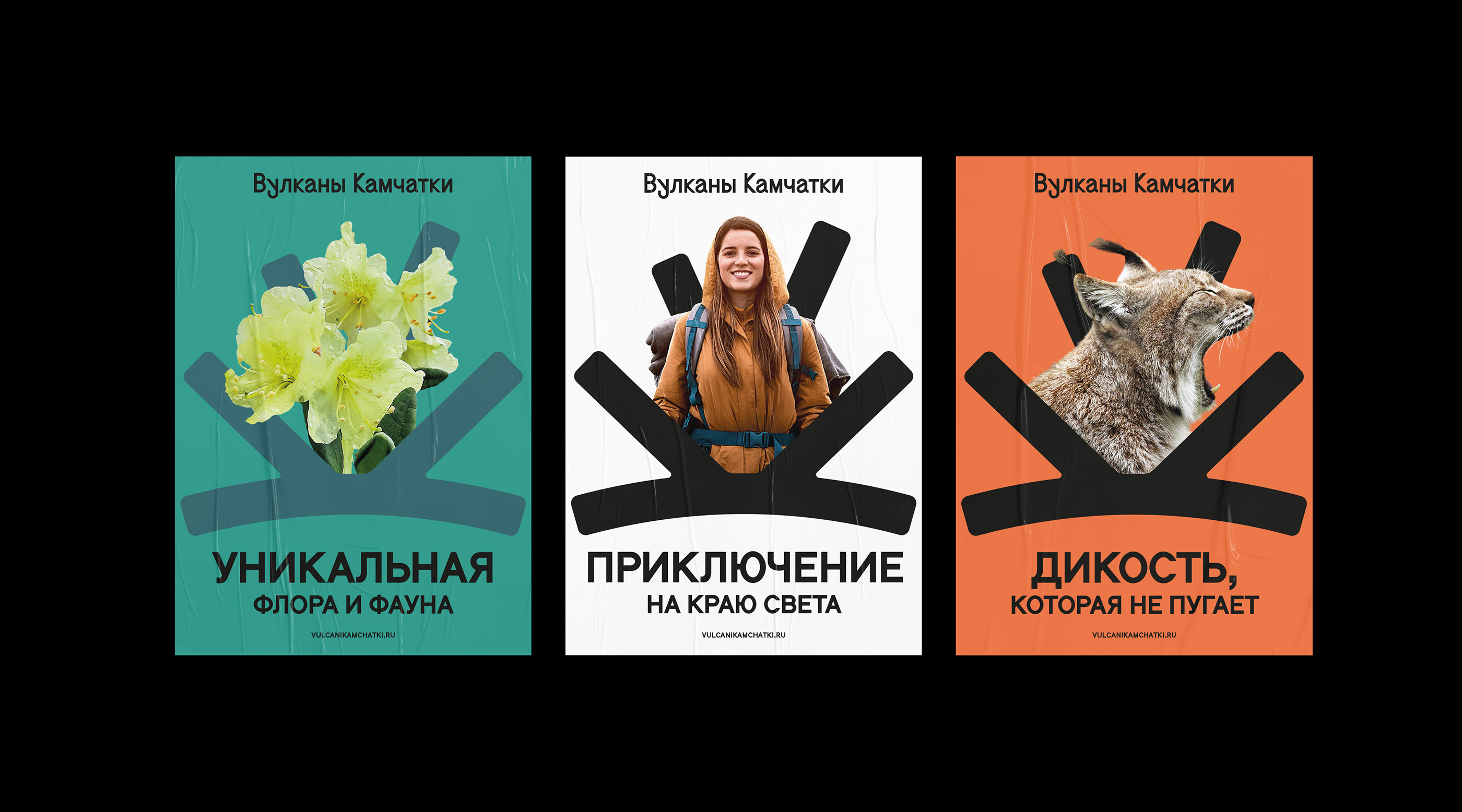 Изображение проекта