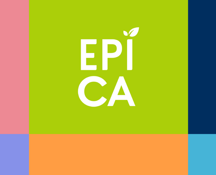 Design System for EPICA на Dprofile