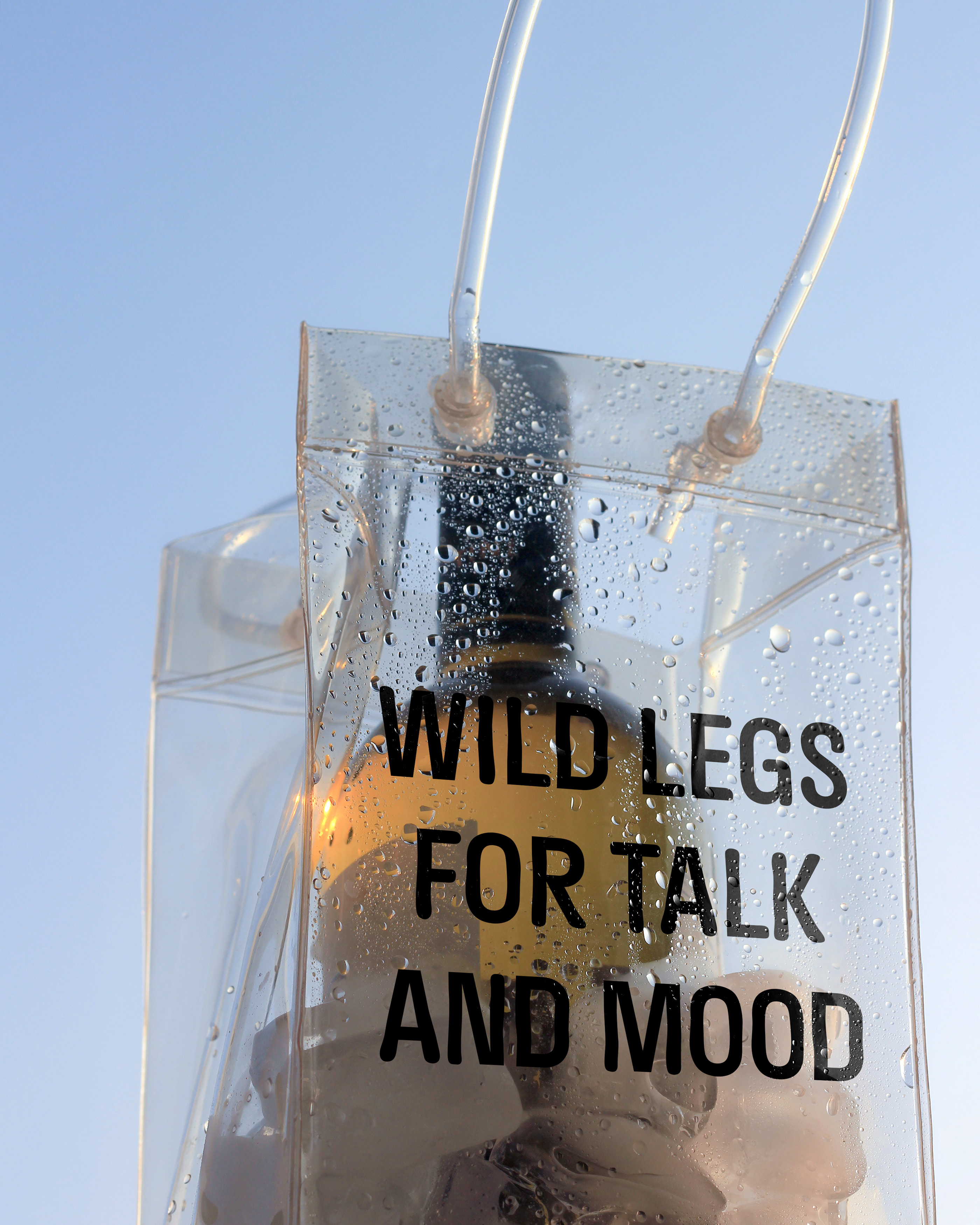 WILD LEGS | wine&food — Изображение №17 — Брендинг, Иллюстрация на Dprofile