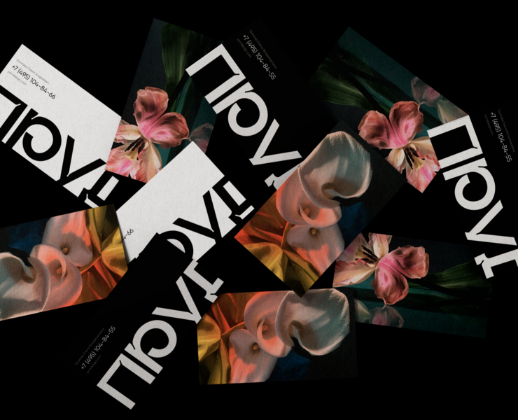 пруд — logo & identity — Брендинг на Dprofile