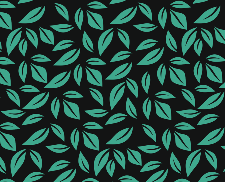 Patterns 2019-2021