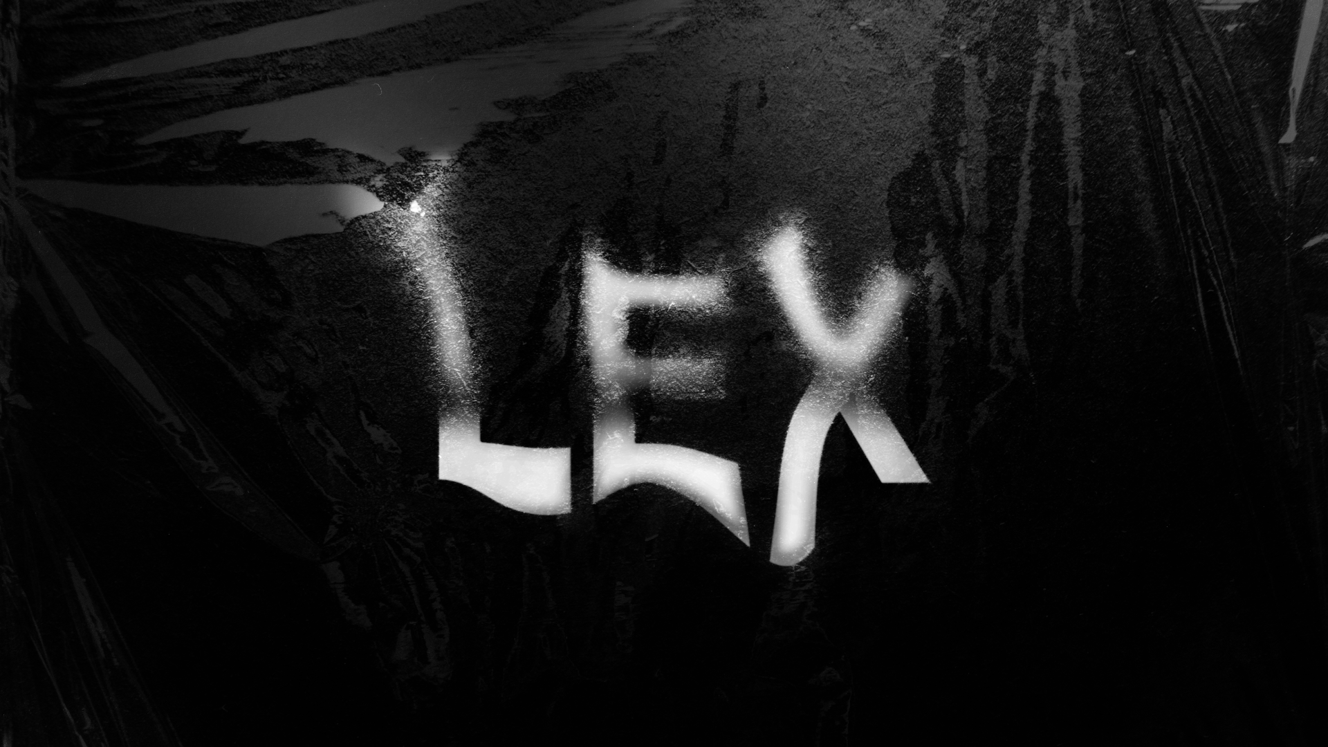 LEX Community — Изображение №1 — Брендинг, Графика на Dprofile