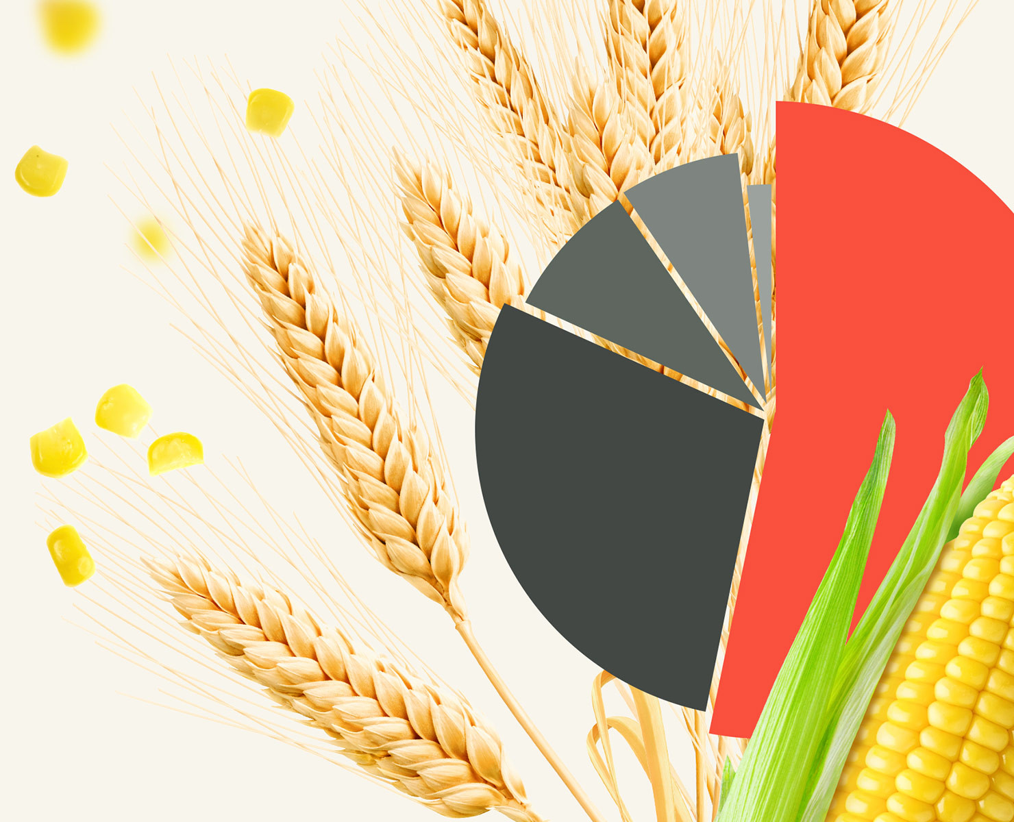 Шаблоны презентации нового продукта