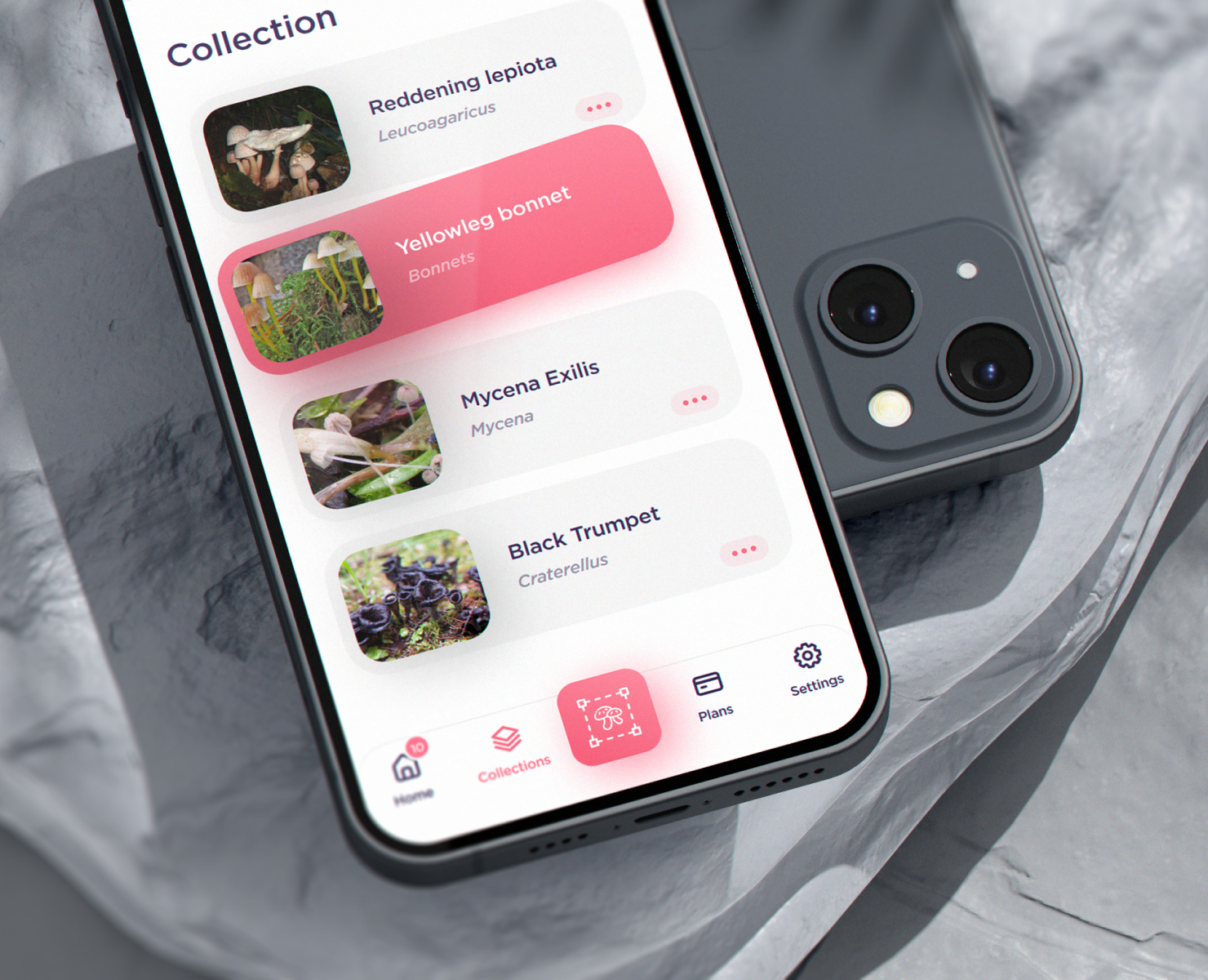 Fungus Identifier AI