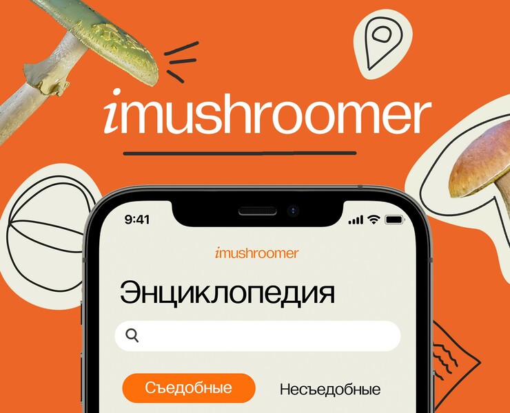 iMUSHROOMER APP | PROTOTYPE DESIGN UX&UI