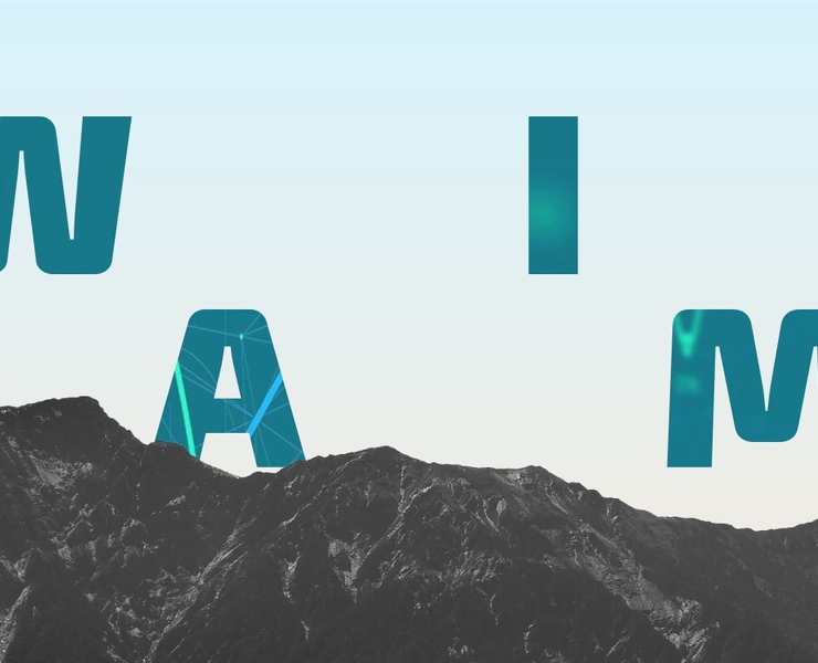 WIAM