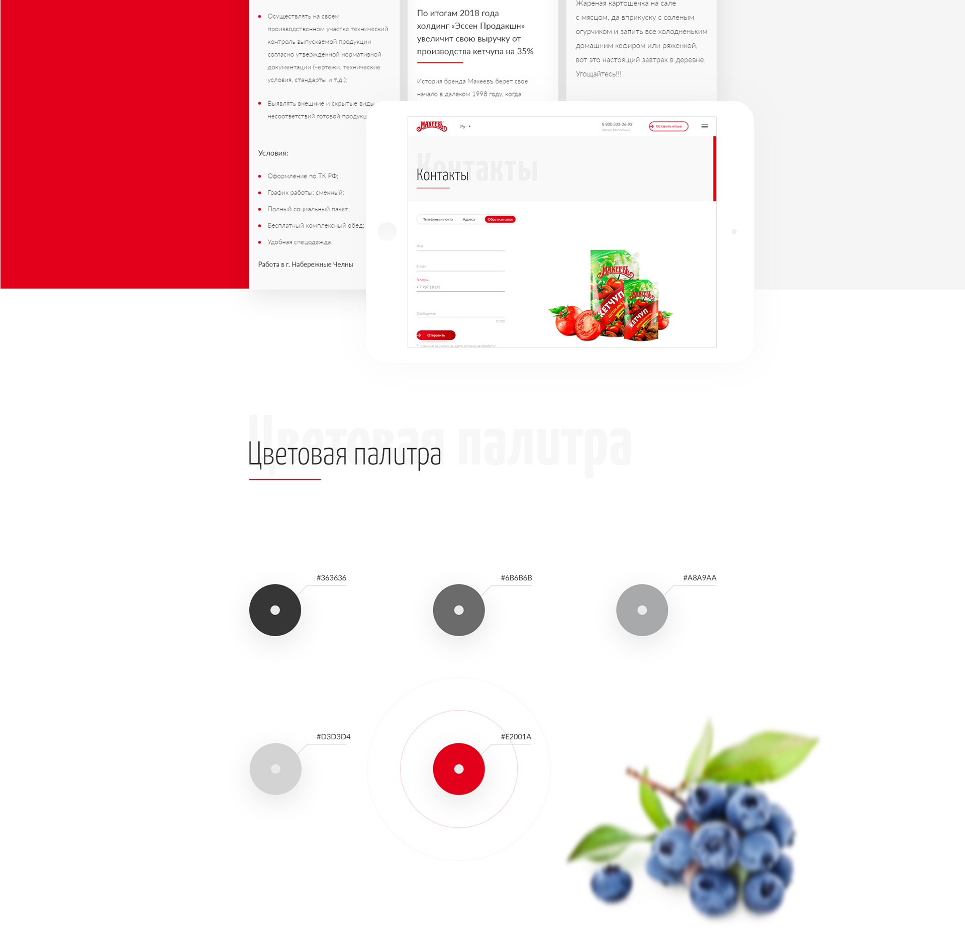 Изображение проекта
