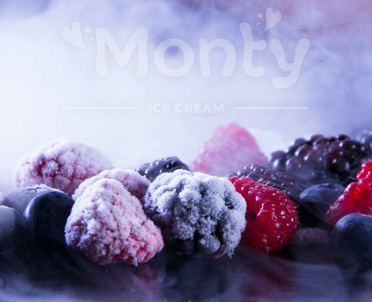 Monty logo and corporate identity