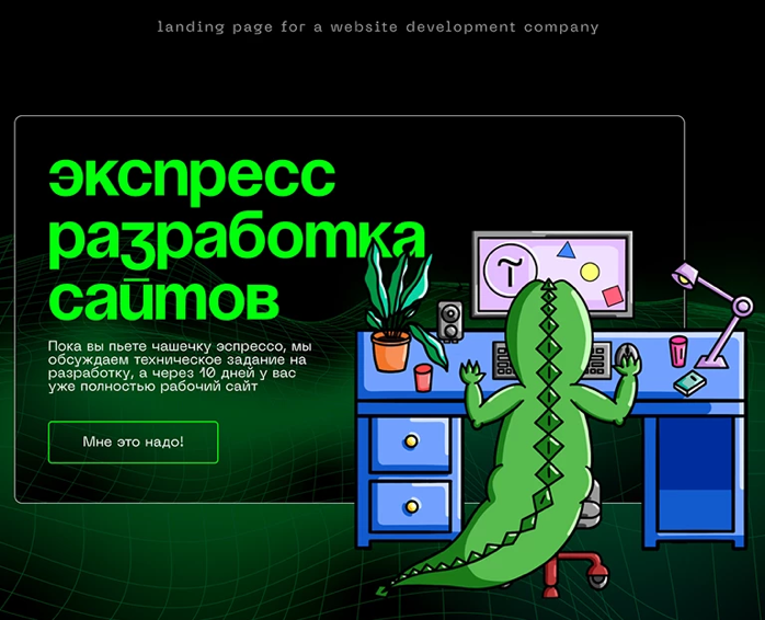 landing page for a website development company