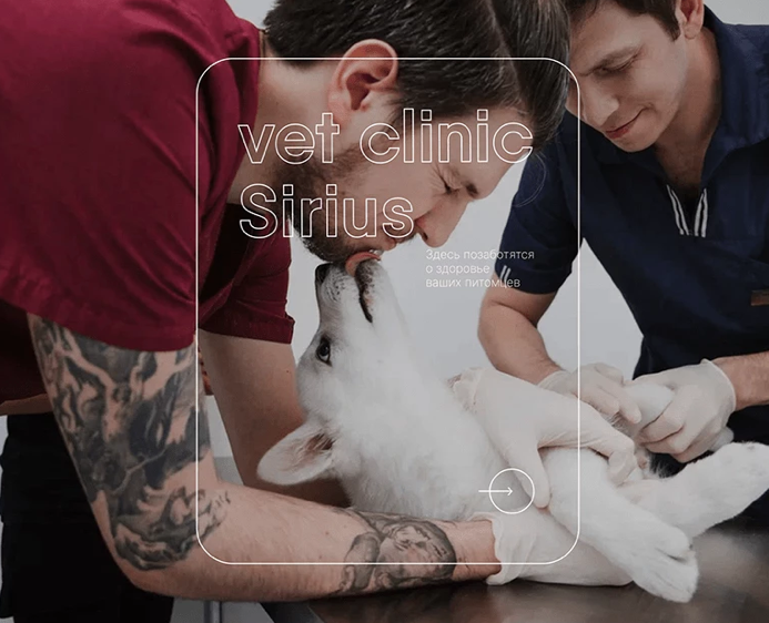 Website for a veterinary clinic