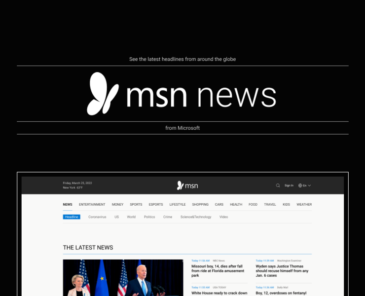 MSN News - Website redesign concept