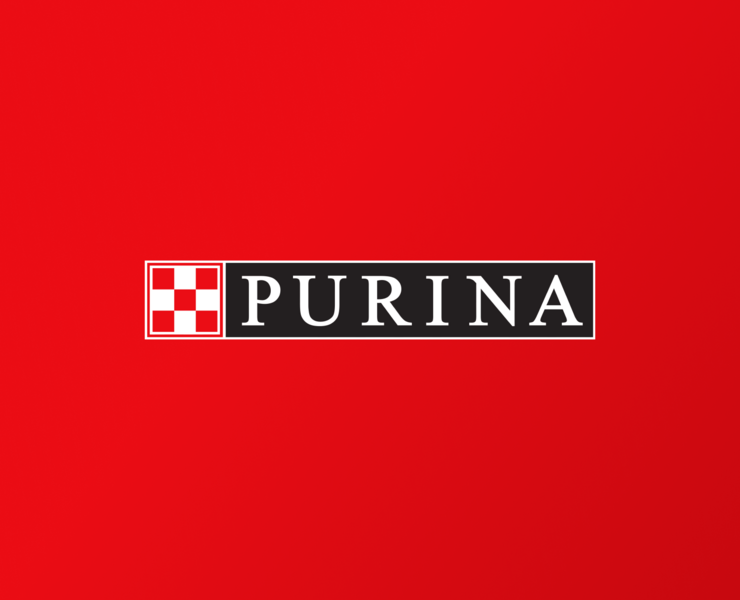 Purina||Redesign concept на Dprofile
