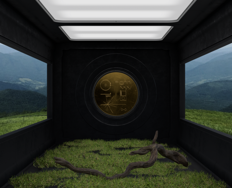 VOYAGER