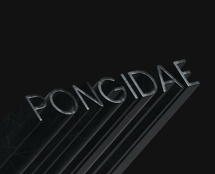 Pongidae Guideline