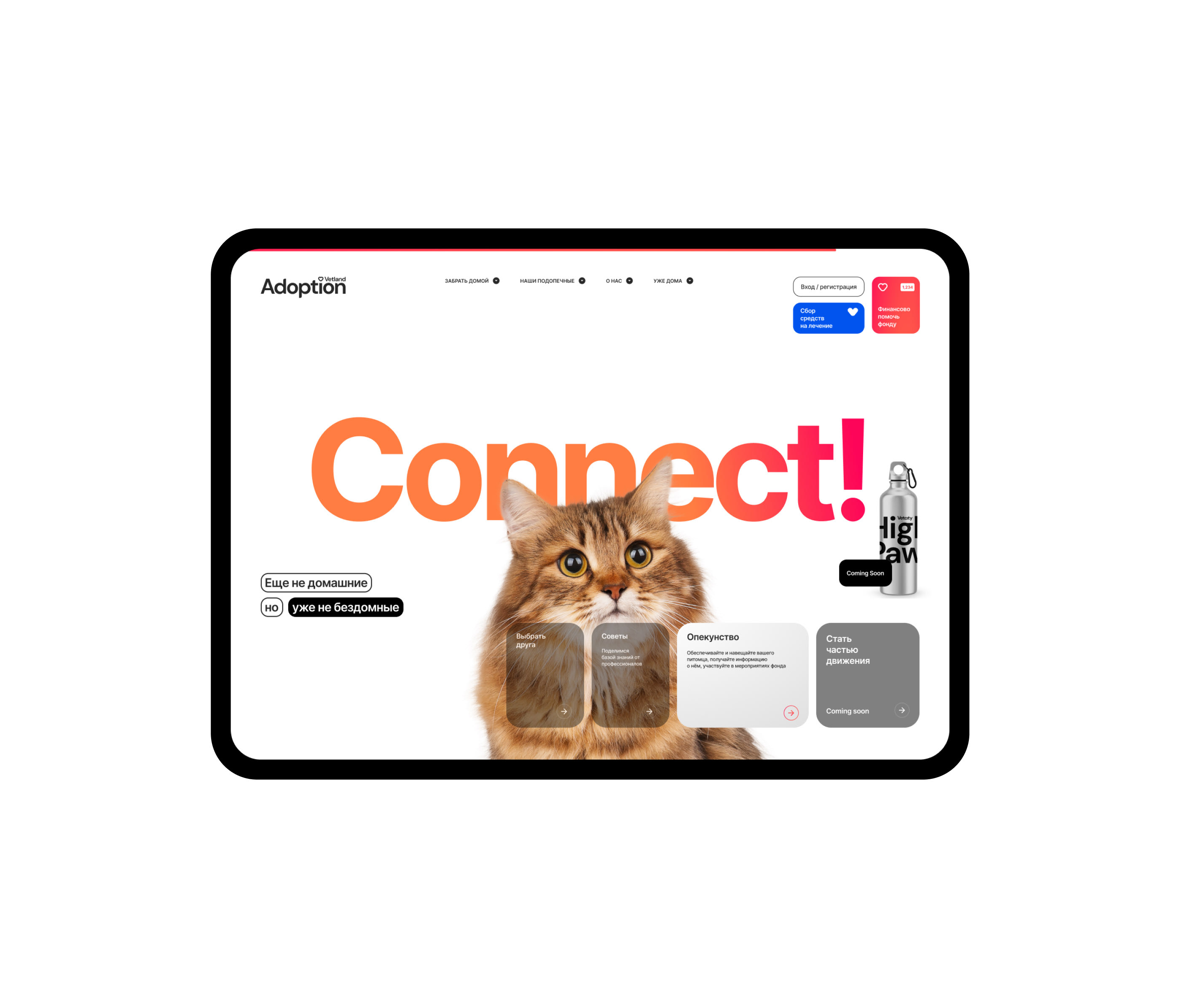 Изображение проекта